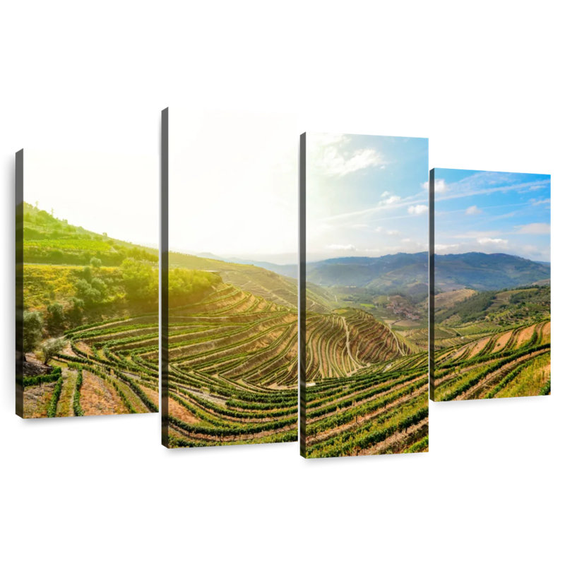 Alvord Douro Valley Morning, H 18 po x l 30 po