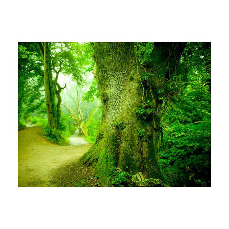 Daysean Wall Mural, 121" L x 157" W