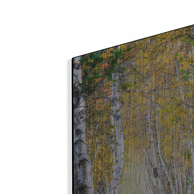 Mur en métal luxueux «Jesup Path» par Rick Berk, H 24 po x l 16 po