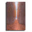 «Tree Farm» par Bruce Getty, art mural en métal, 12 po x 16 po-2131936354