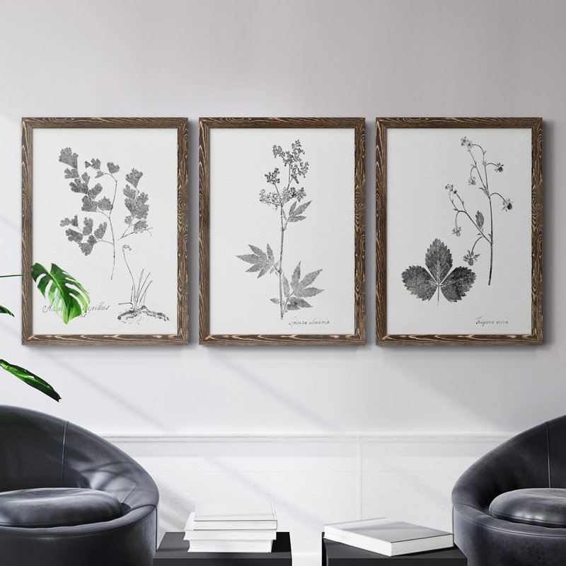 «Botanical Imprint I», ensemble de 3 peintures sur toile encadrées, Noyer, H 43,5 po x l 31,5 po x P 1 po