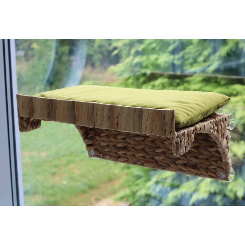 Velvet Elevated Pet Bed, Olive