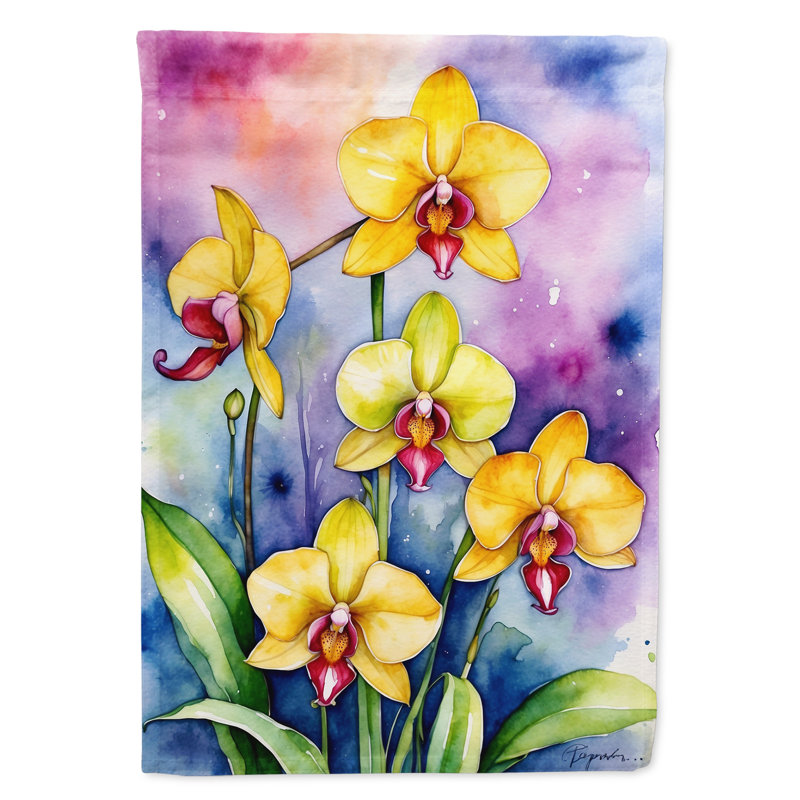 Orchidées paphiopedilum, drapeau du jardin, Orchidées Paphiopedilum