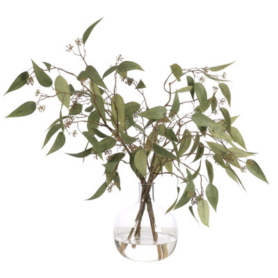 Eucalyptus, Green, Glass Jug, 29wx26dx23h
