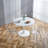 Plastic Dining Chair-1833650428