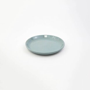 Decor Microsafe Segmented Teal Color Covered Plate 2 Pack for sale online