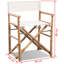 Hutton Folding Director Chair