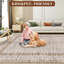 Tapis Lavable à la machine Randolph-384977287