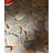 Oyster Blue/Gray Natural Stone Flat Pebble Mosaic Wall & Floor Tile