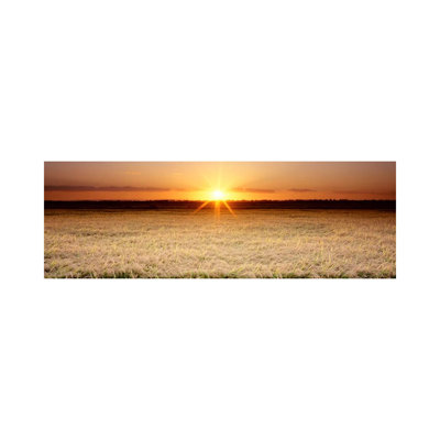 Rice Field, Sacramento Valley, California, USA 1 Piece Wrapped Canvas Panoramic Wall Art