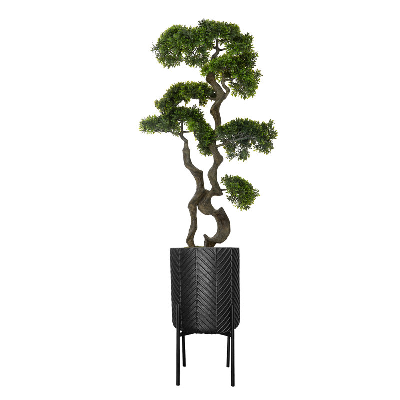 Houston 60.5'' Faux Bonsai Tree in Planter