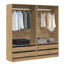 Bludovice Manufactured Wood Wardrobe