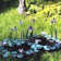 Diana Fountain