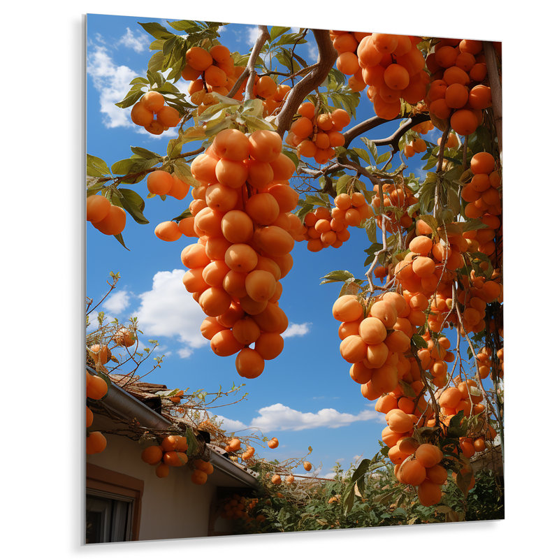 Délicats fruits abricot en été - fruits, art mural en métal, H 20 po x l 12 po x P 1 po