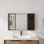Miroir de salle de bain avec rangement