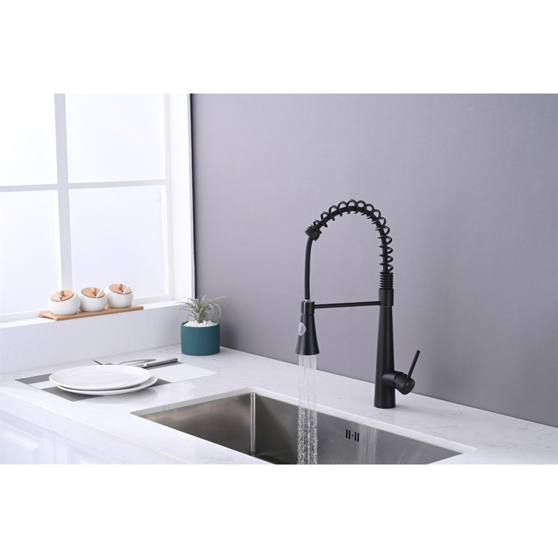 Robinet de cuisine commercial noir mat avec douchette rétractable et tête d'arrosage magnétique