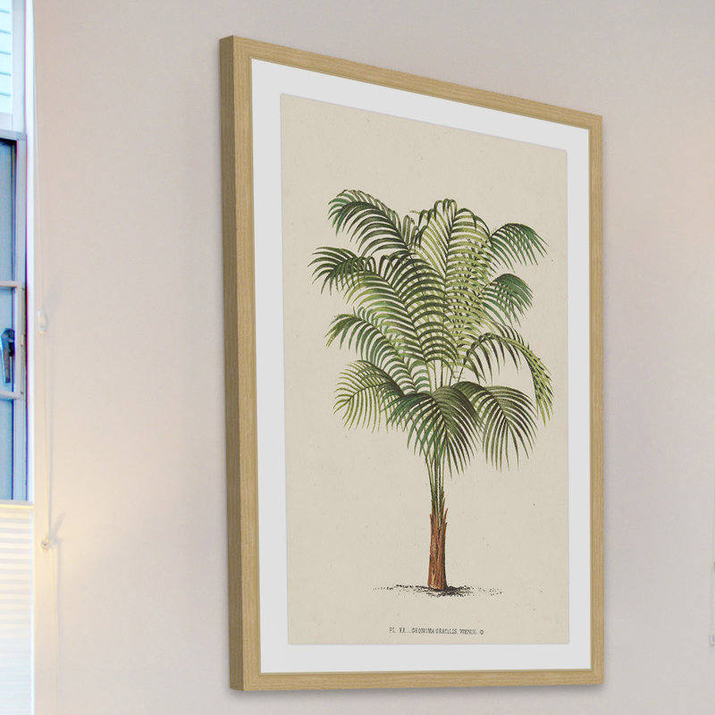 "Les Palmiers II", reproduction encadrée, H 36 po x l 24 po x P 1,5 po
