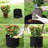 Anielka 10-Piece Plastic Nursery Pot-171686877
