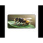 Polyester Desk Pad-1081422111