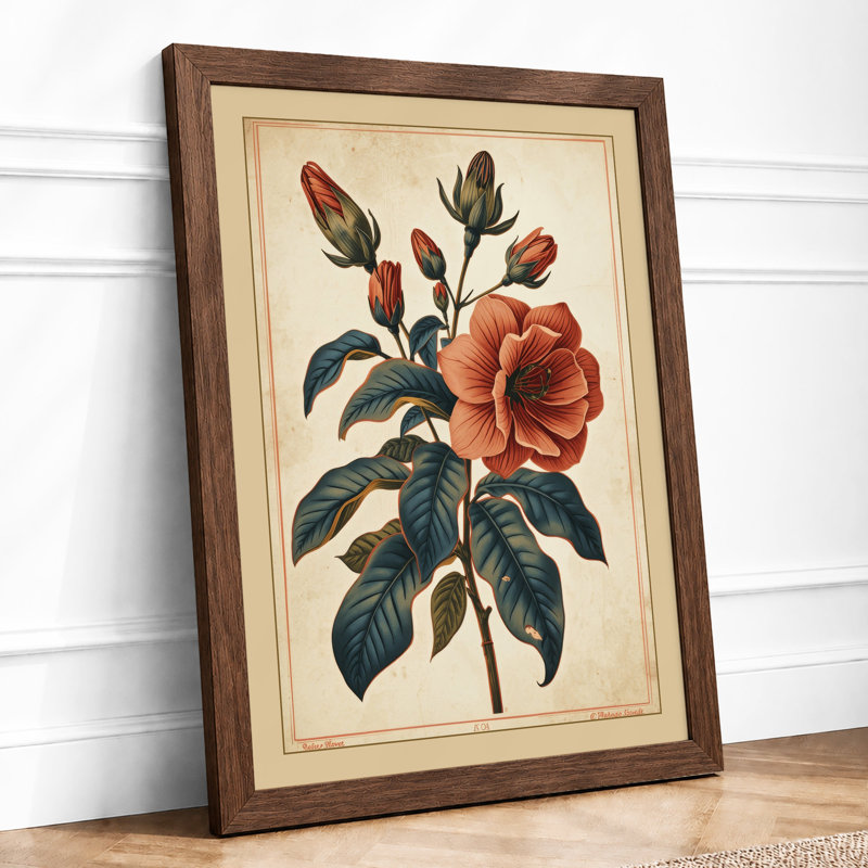 Rose In Bloom Botanical - Print, Walnut, A1 - 84.1 x 59.4 cm