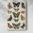 Flutterbys I -Gallery Wrapped Cavas-1245079107
