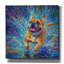 «Buldog In The Rain Puddles» par Rich Monet, art mural sur toile-637069971