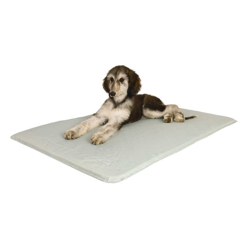 Tapis rafraichissant pour animaux, Moyen (l 32 po x P 22 po x H 1,5 po)