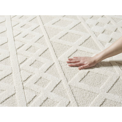 Misato Geometric Area Rug