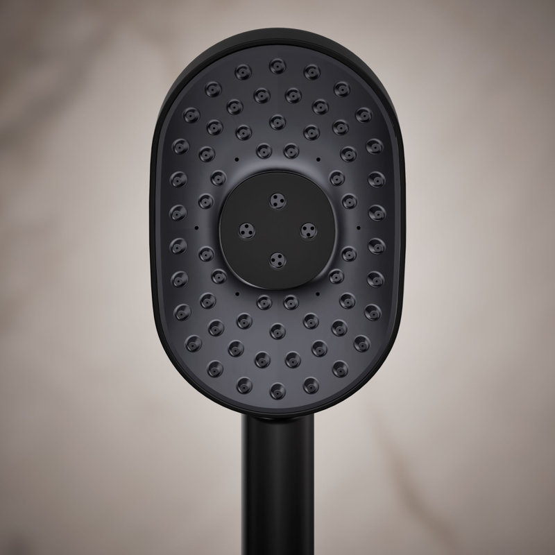 Statement 2.5 GPM Oval Multifunction Handshower With Katalyst Air-Induction Technology, Matte Black