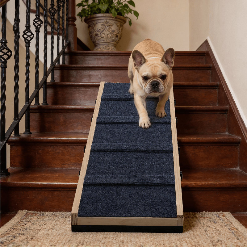 Rampe pour chien en bois pour escalier, rampe antidérapante pour animaux de compagnie pour petits et moyens chiens et chats