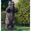 Bear Bronze Garden Statue