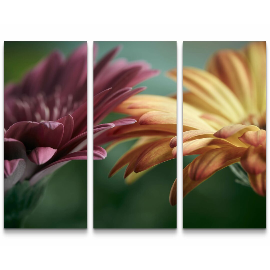 3-tlg. Leinwandbilder-Set Pinke und orange Gerbera