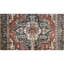 Wool Oriental Area Rug