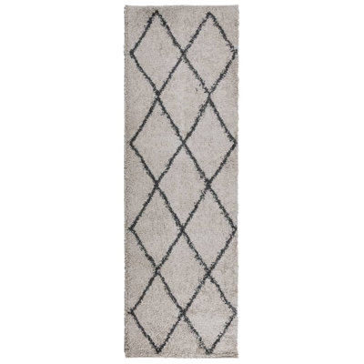 Lizette 60cm X 110cm Area Rug