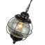 Luminaire suspendu d’extérieur à 1 ampoule h 13,38 po black Branton