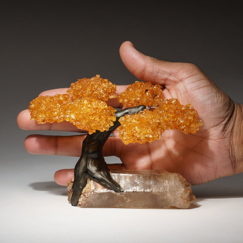 Small - Genuine Citrine Clustered Gemstone Tree on A Quartz Crystal (The Joyful Tree)