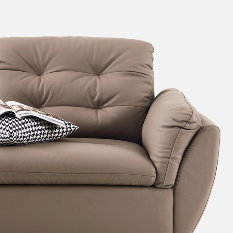 Minimalist Modern Mocha Sofa