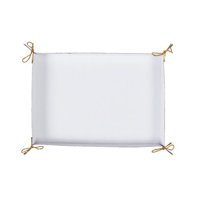 Disposable Serving Tray