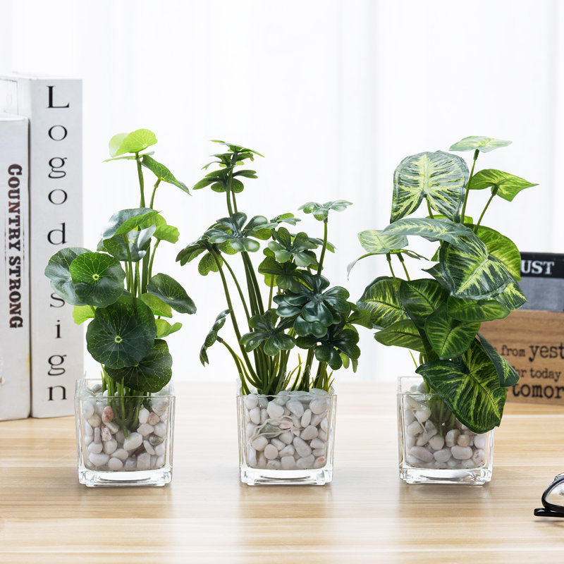 24cm Faux Foliage Plant in Glass Vase