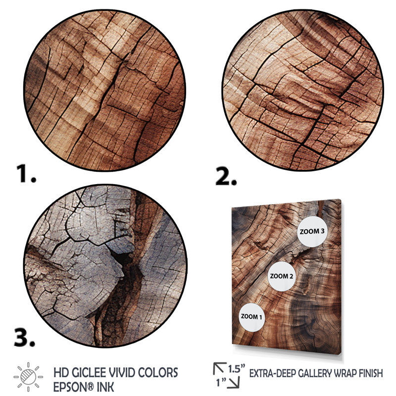 «Abstract Brown Graceful Woodland Bark», reproduction d'art murale abstraite, Cadre flottant doré, H 32 po x l 24 po x P 1 po