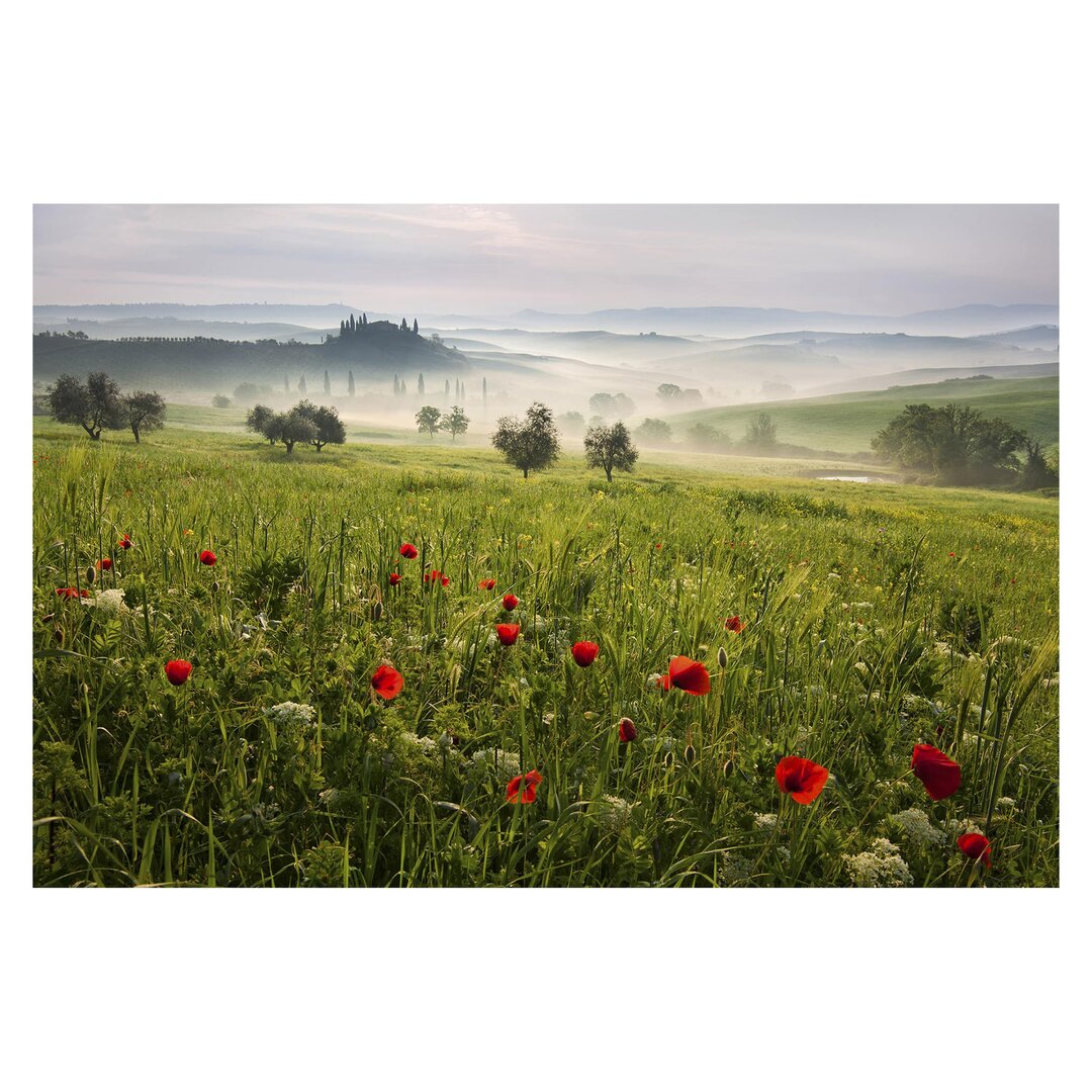 Matt Fototapete Toskana Frühling 1,9 m x 288 cm