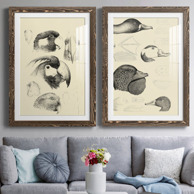 «Waterbird Sketbook III», ensemble de 2 reproductions de dessins encadrés