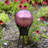 Glass Abstract Gazing Ball-64543460