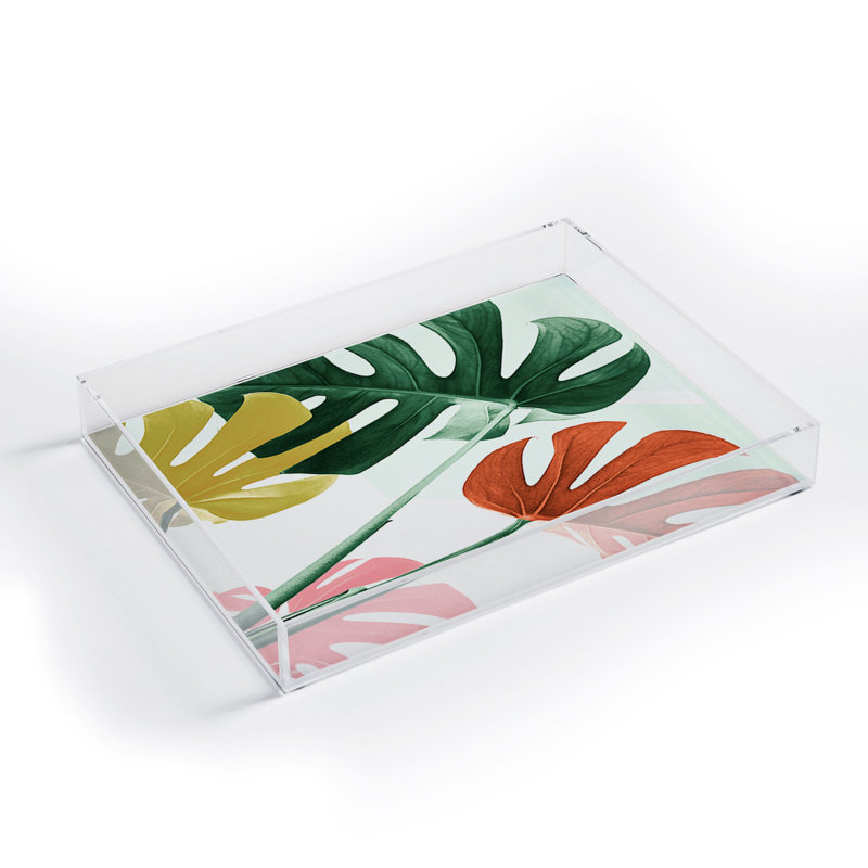 Plastic / Acrylic Tray, 2" H x 8" W x 6" D