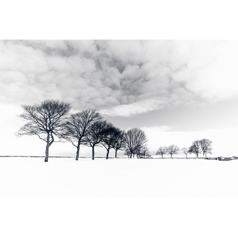 Winter Trees by Duncan1890 - No Frame Print on Canvas, 51cm H x 76cm W