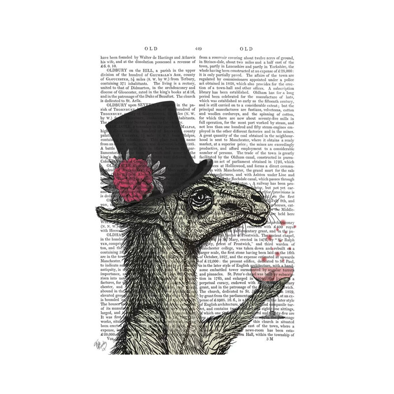 " Llama Lush I, Print BG " by Fab Funky, Wrapped Canvas, No Matte, 12" H x 8" W x 0.75" D