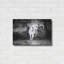 Luxe Three Art Horses BW par Debra Van «Three Wild Horses BW» par Debra Van Swearingen