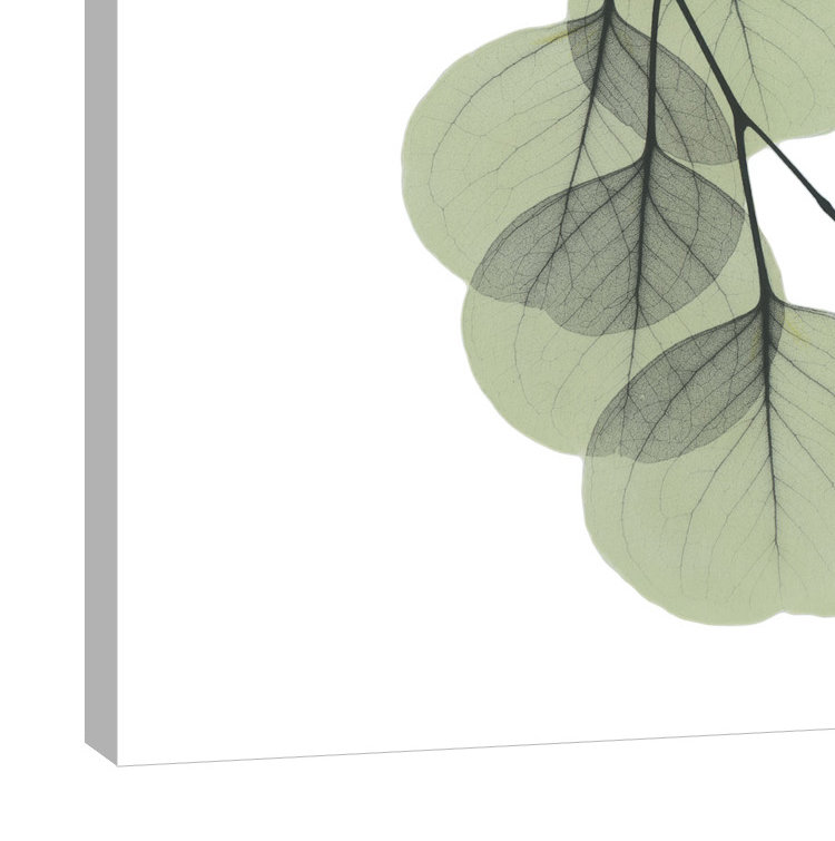 « descending eucalyptus 2 », impression sur toile tendue, H 16 po x l 12 po