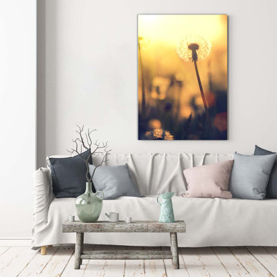 Dandelion - Wrapped Canvas Print