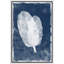 «Faded White Transparent Leaves» sur-99141630-99141629